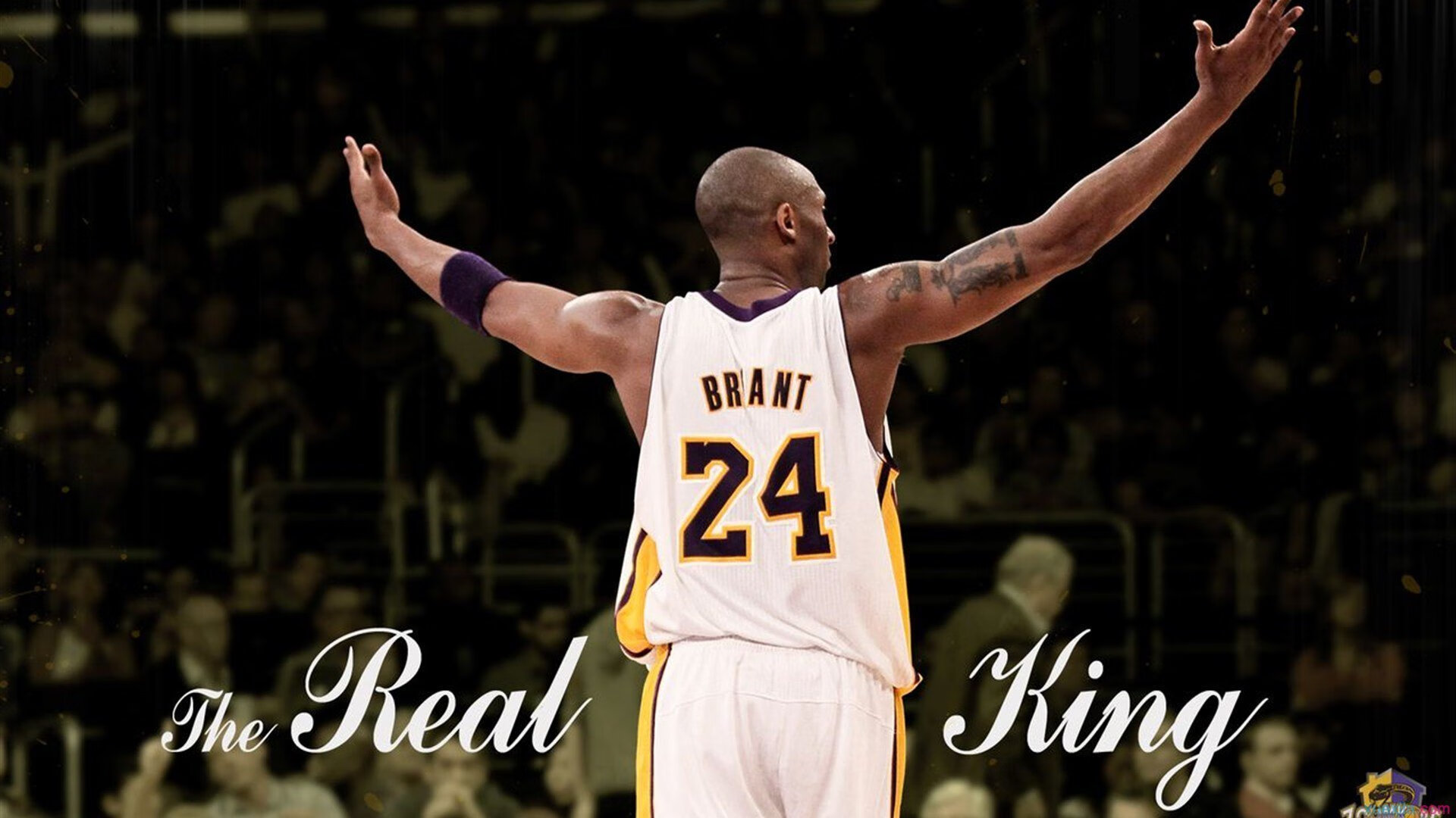 体育品牌发布新一代智能运动手表，运动智能手表品牌排行榜前十名